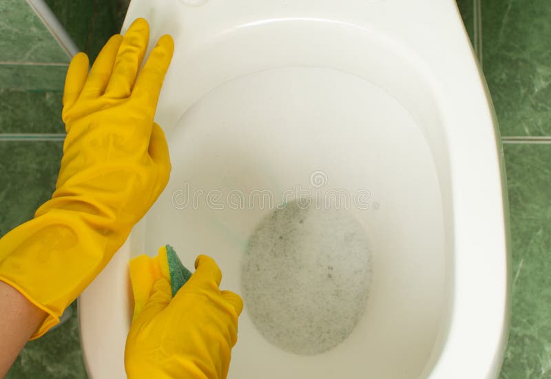 Washing the Toilet with Disinfectants Stock Photo Image of detergent
