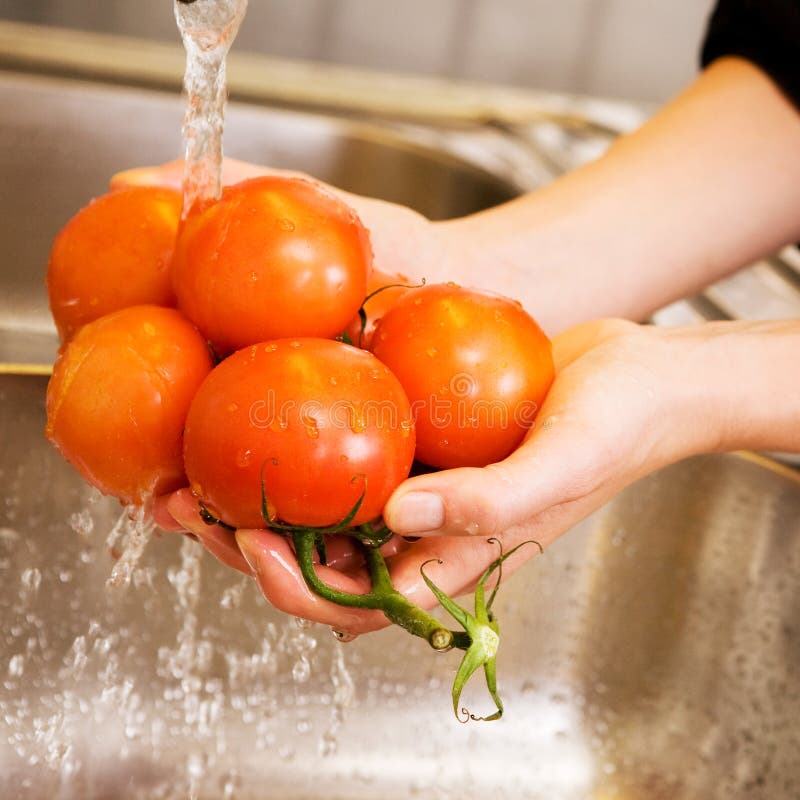 Washing Tomatoes