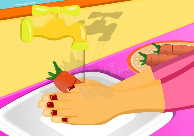 Washing vegetable stock illustration. Illustration of hygiene 23042905