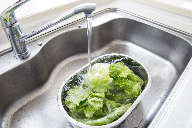 Washing Vegetables in the Sink Stock Photo Image of salad, safe