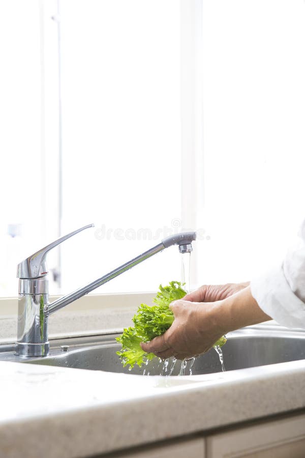 Washing Vegetables in the Sink Stock Photo Image of salad, safe