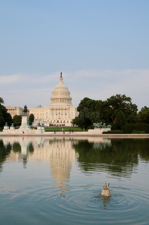Washington DC - Capitol building and reflection. Washington DC - Capitol building and its reflection stock images Washington DC - Capitol building and reflection. Washington DC - Capitol building and its reflection stock images