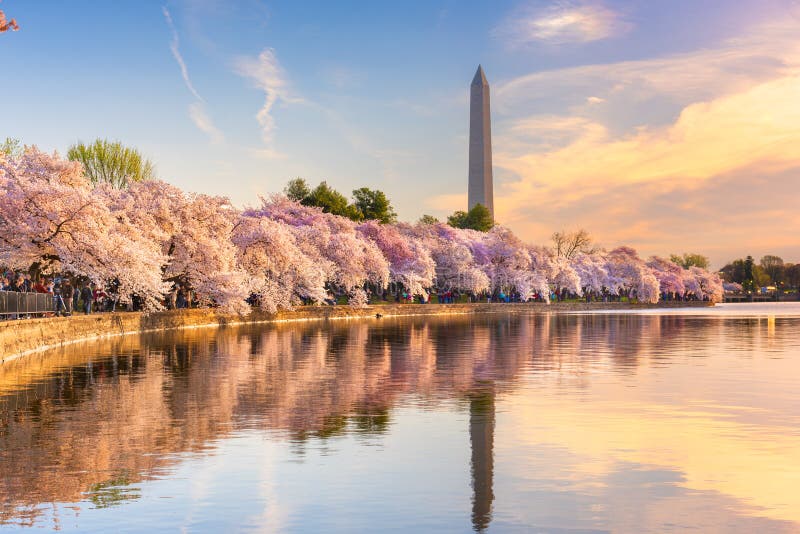 Washington DC, EE.UU. en primavera
