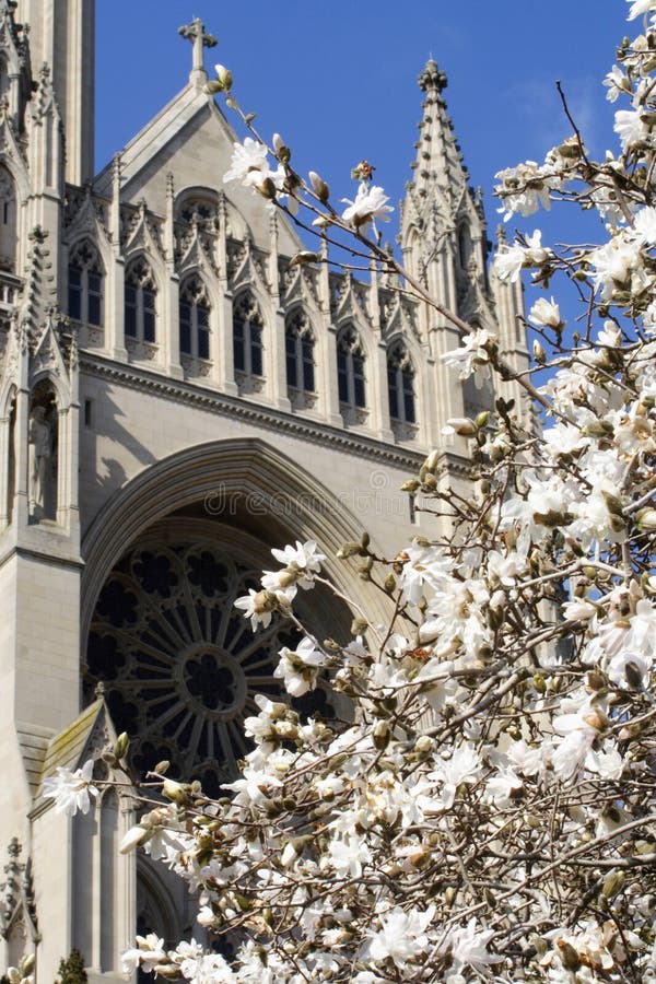 The front door of the Washington's cathedral, in the spring. The front door of the Washington's cathedral, in the spring