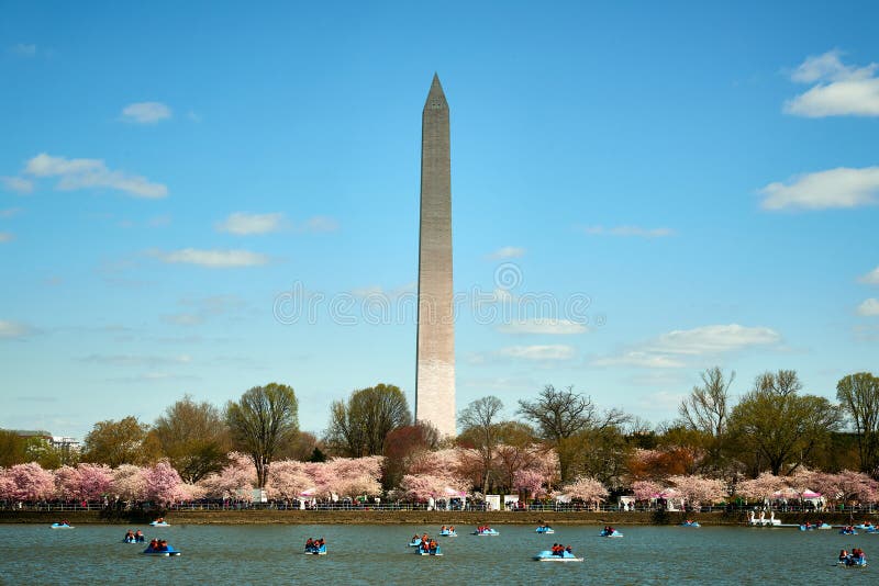 Washington DC, usa - Kwiecień 2018: Waszyngtoński zabytek przeglądać przez pływowego basen podczas Czereśniowego okwitnięcia fest fotografia stock Washington DC, usa - Kwiecień 2018: Waszyngtoński zabytek przeglądać przez pływowego basen podczas Czereśniowego okwitnięcia fest fotografia stock