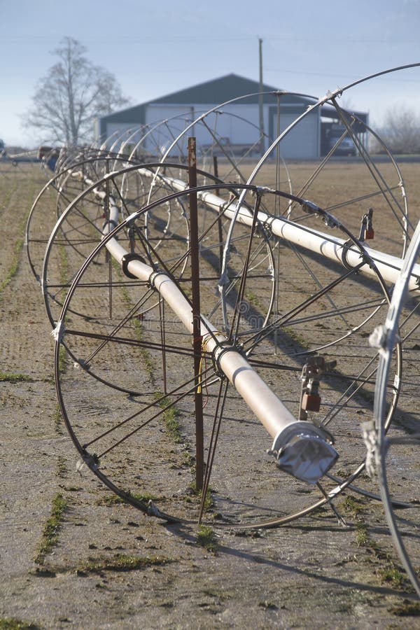 Washington Wheel Line Irrigation Stock Photo Image of northwest
