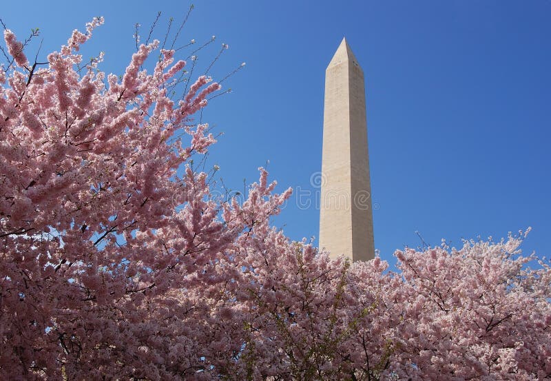 Washington monument stock photos Washington monument stock photos