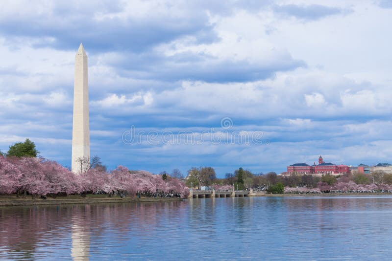 Washington Monument durante il Cherry Blossom Festival al bacino di marea, Washington DC immagini stock libere da diritti Washington Monument durante il Cherry Blossom Festival al bacino di marea, Washington DC immagini stock libere da diritti
