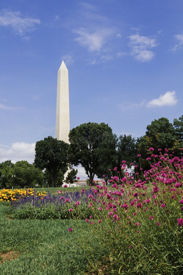 Washington Monument with Flowers in Washinton DC, USA Stock Image