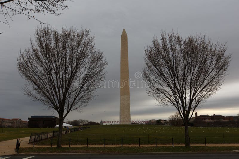 Washington Monument Photographed through Two Beautiful Trees Editorial Photography Image of