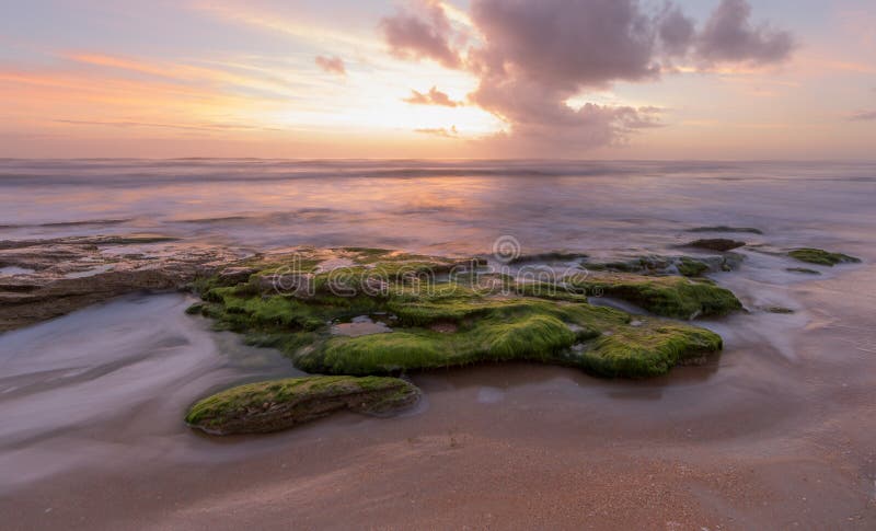 Washington Oaks Sunrise imagem de stock royalty free Washington Oaks Sunrise imagem de stock royalty free