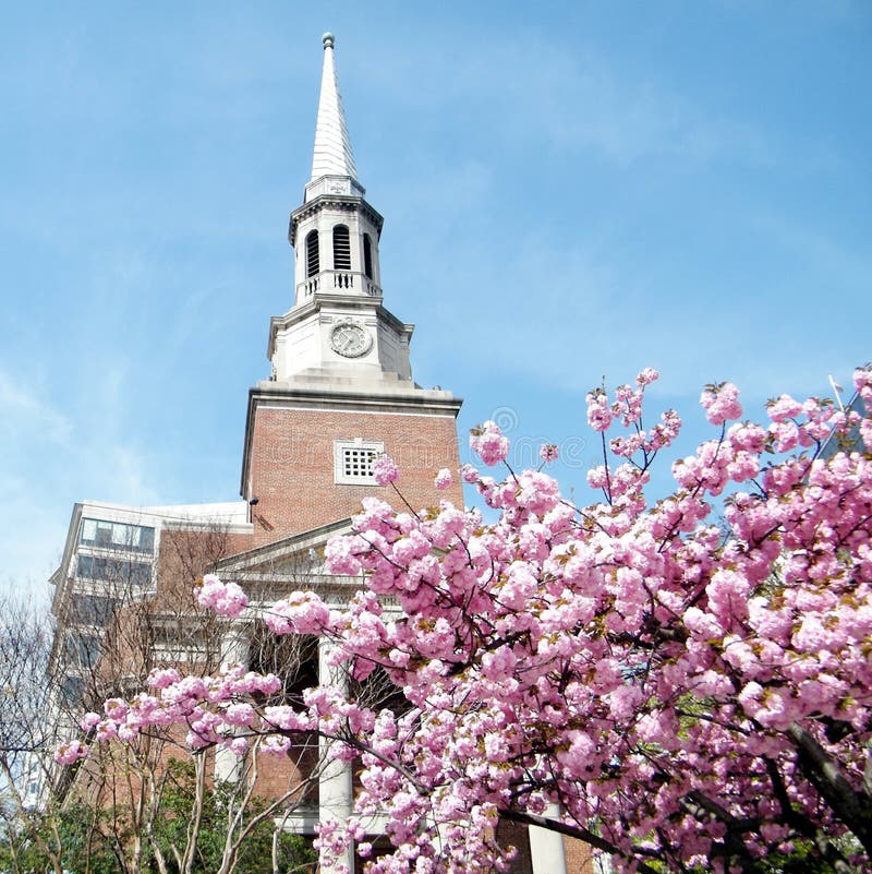 Washington Sakura delante de la iglesia 2010