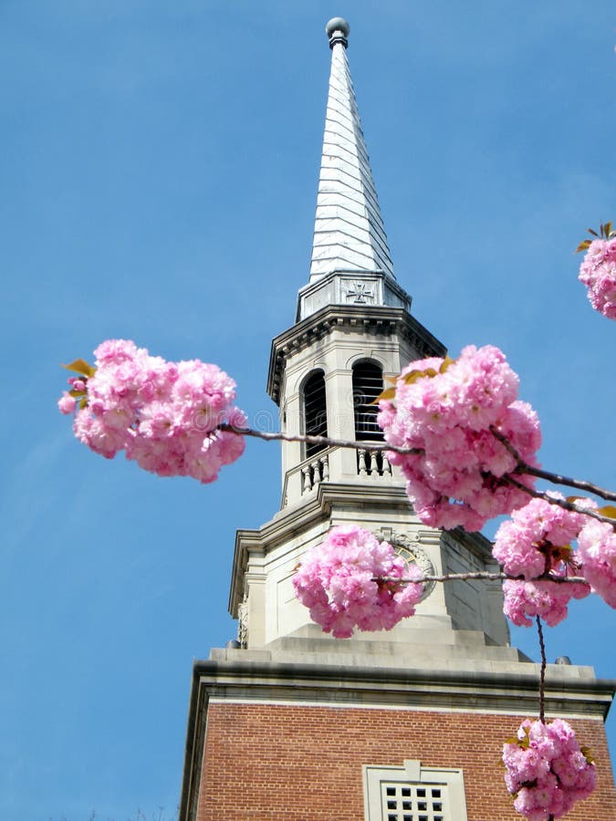 Washington Sakura delante de la torre de iglesia 2010