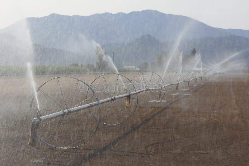 Washington Wheel Line Irrigation Stock Photo Image of northwest, coastal 30682626