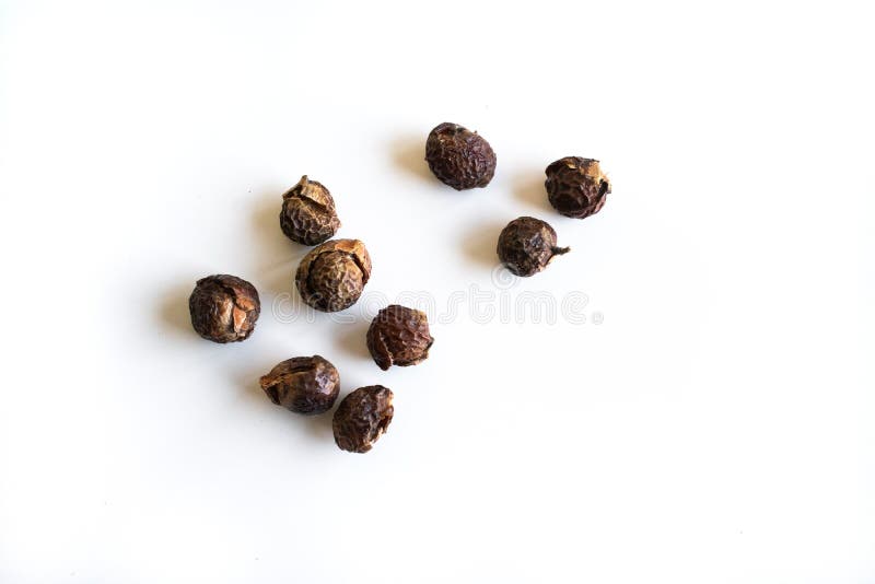 Washnut, soapnut από ένα δέντρο washnut στοκ φωτογραφία Washnut, soapnut από ένα δέντρο washnut στοκ φωτογραφία