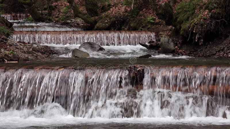 Wasser kaskadiert unten felsige Schritte unter Moosen und Frühlingswald