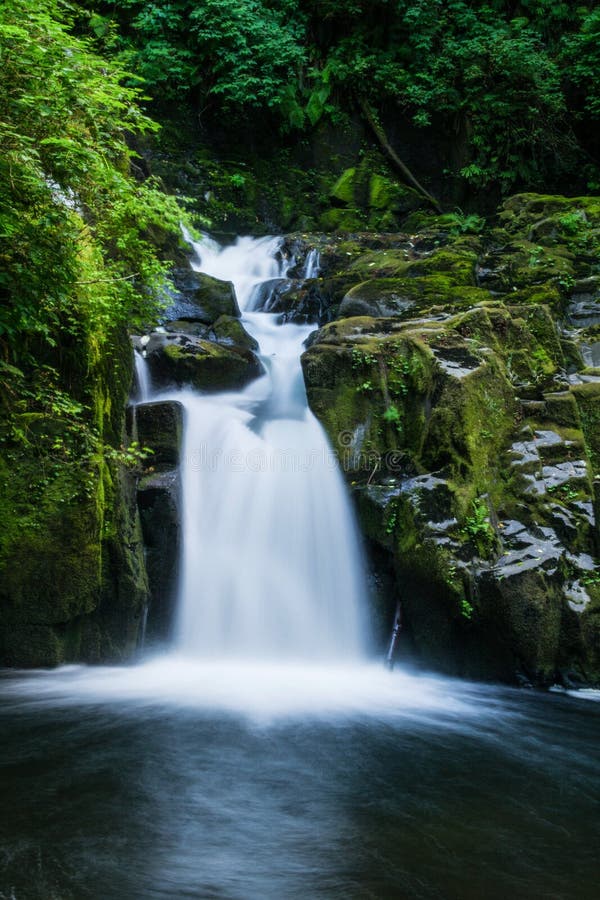 Eugene waterfall at sweet creek falls. Eugene waterfall at sweet creek falls