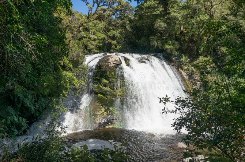 Wasserfall bei Te Urewera National Park