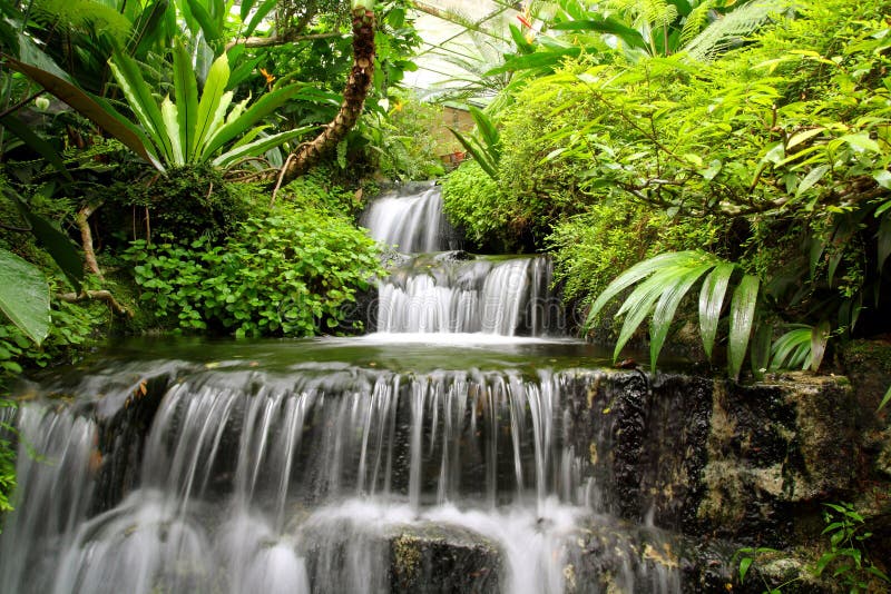 Wasserfall im Regen-Wald stockfoto