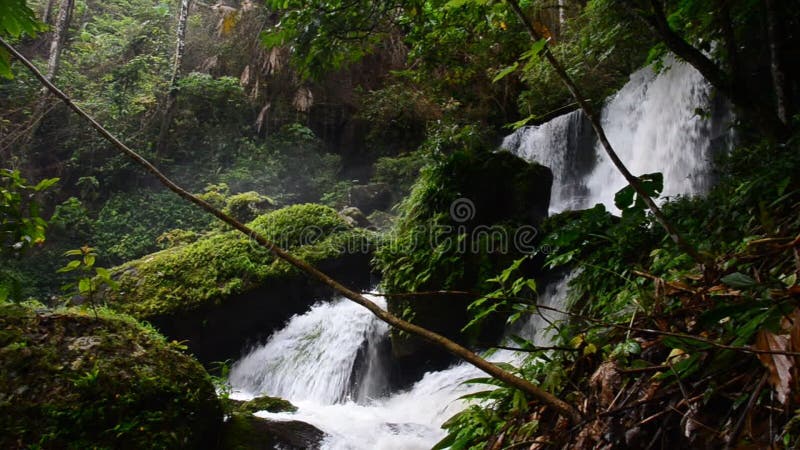 Wasserfall im tropischen Regenwald HD