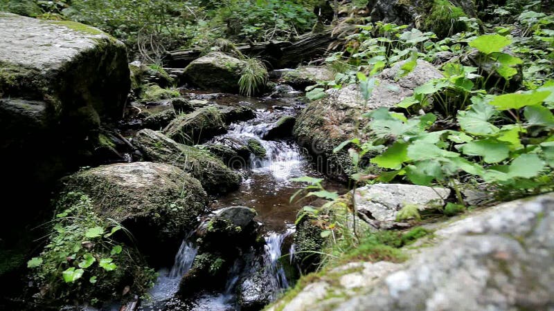 Wasserfall im Wald