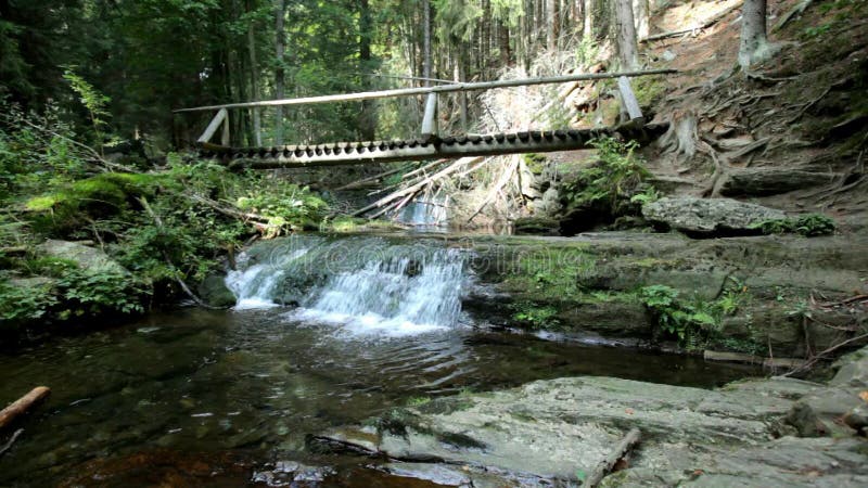 Wasserfall im Wald