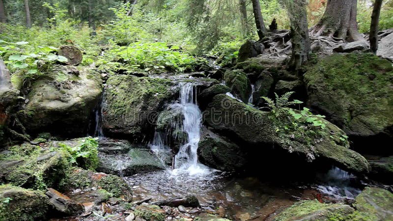 Wasserfall im Wald