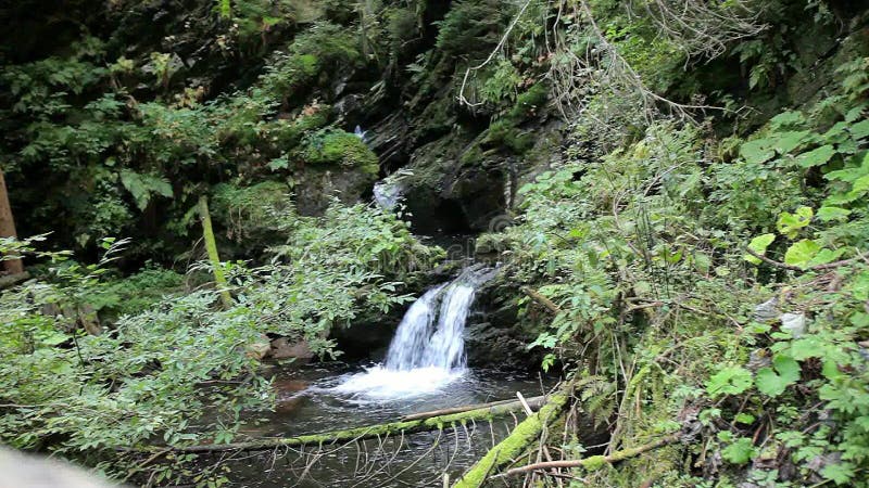 Wasserfall im Wald