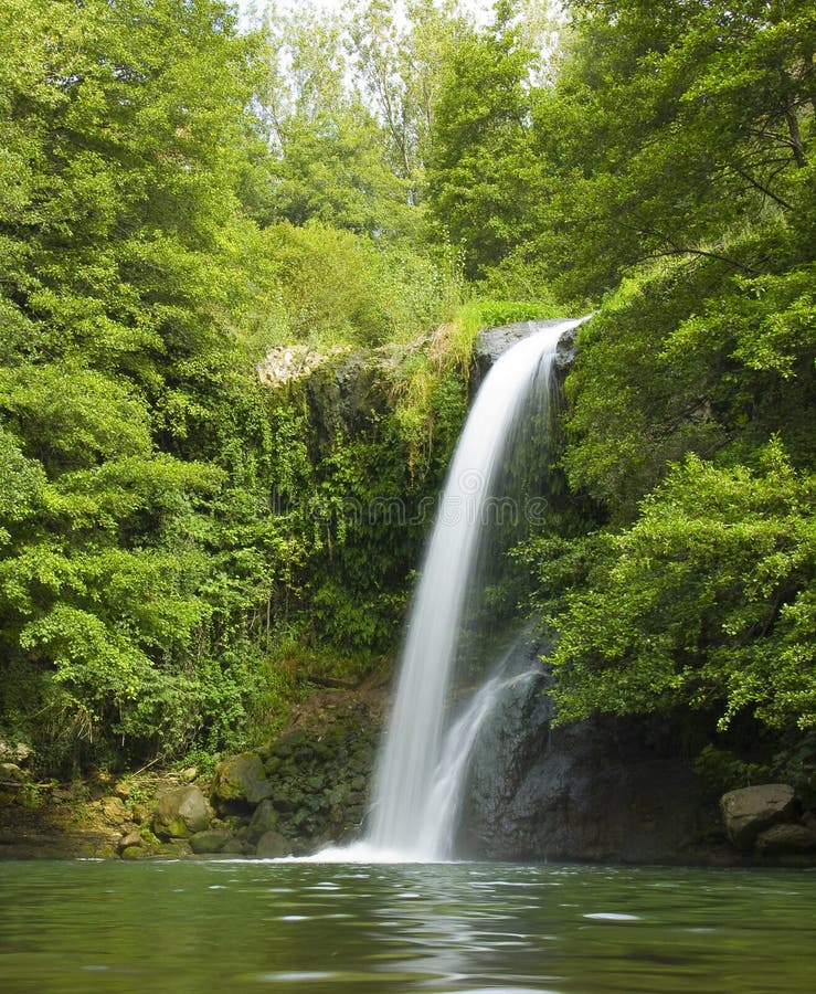 Wasserfall im Wald lizenzfreie stockfotografie Wasserfall im Wald lizenzfreie stockfotografie