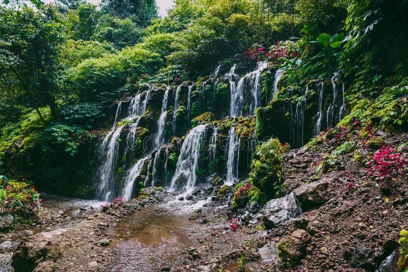 1 8 Wasserfall Dschungel Felsen Und Steine Fotos Kostenlose Und Royalty Free Stock Fotos Von Dreamstime