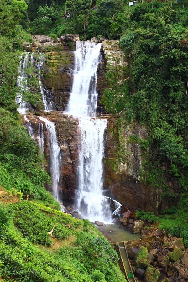 Wasserfall Ramboda, Sri Lanka stockfotos Wasserfall Ramboda, Sri Lanka stockfotos