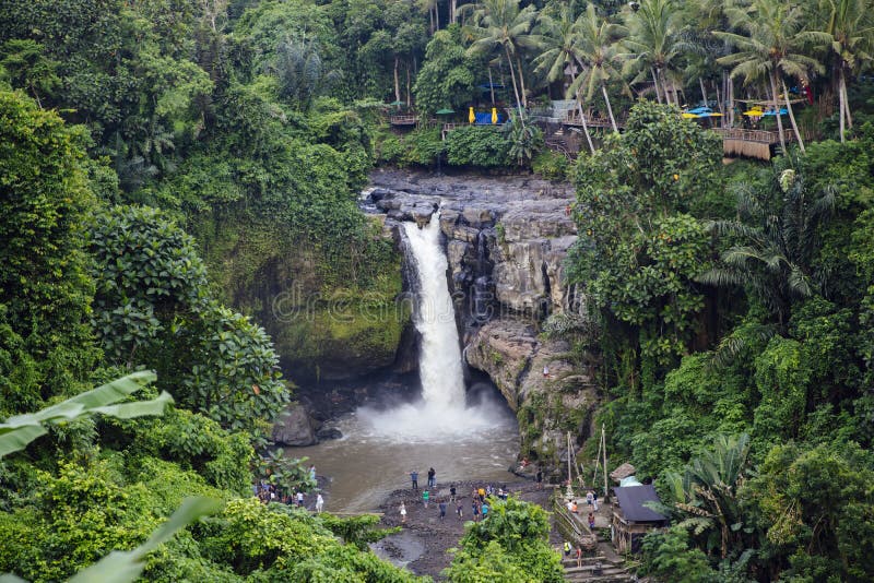  Wasserfall  Tegenungan In Bali Indonesien  Redaktionelles 