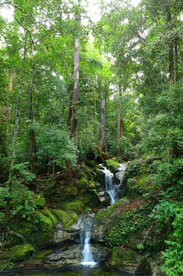 Wasserfall in tropischen Borneo-Regenwäldern
