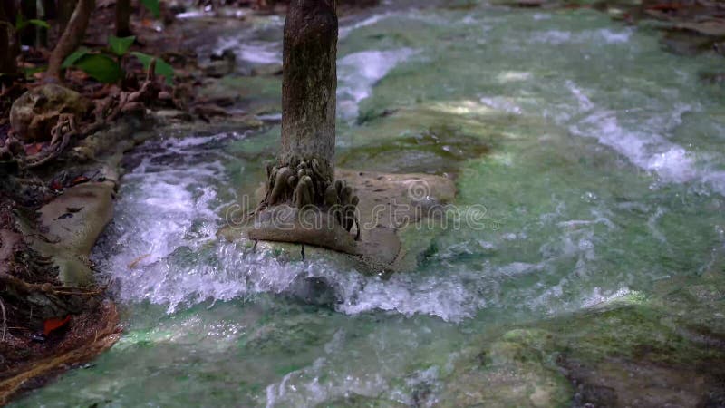 Wasserfallwald ist schönes Naturkonzept