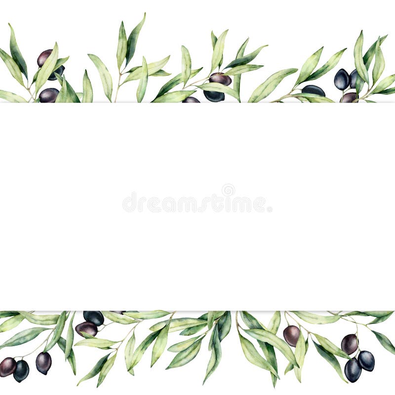 Wasserfarbener Rand mit schwarzen Olivenbeeren und Zweigen Handgemalt botanischer Banner mit auf weiß isolierten Oliven lizenzfreie abbildung
