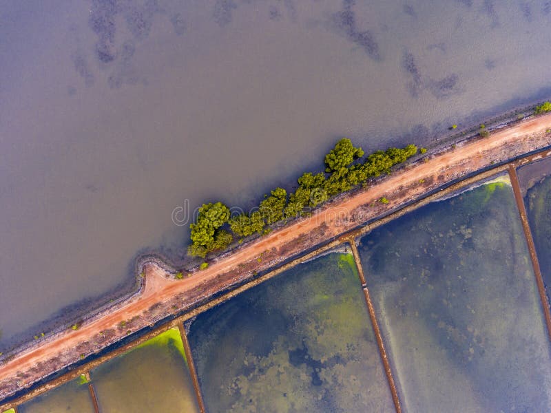 Wasserfelder von einer Panoramasicht Rosa Sonnenuntergang und hellgr?nes Laub lizenzfreie stockbilder Wasserfelder von einer Panoramasicht Rosa Sonnenuntergang und hellgr?nes Laub lizenzfreie stockbilder