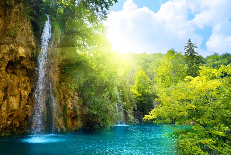 Wasserfälle im Wald lizenzfreie stockfotos