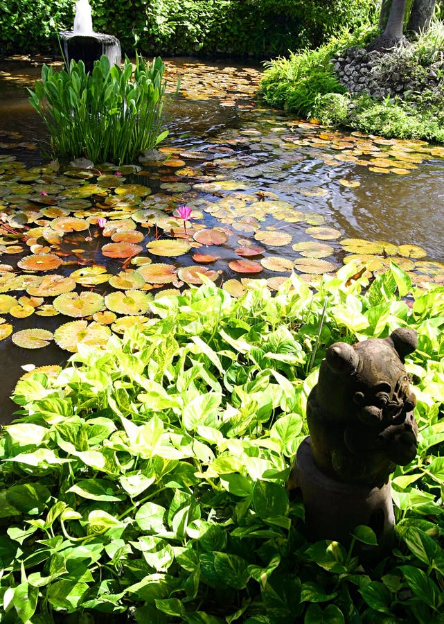 A photograph of a tropical landscaped water gardens with small stone sculpture as decorative feature. Pond filled with water lilies and other aquatic plants. A photograph of a tropical landscaped water gardens with small stone sculpture as decorative feature. Pond filled with water lilies and other aquatic plants.