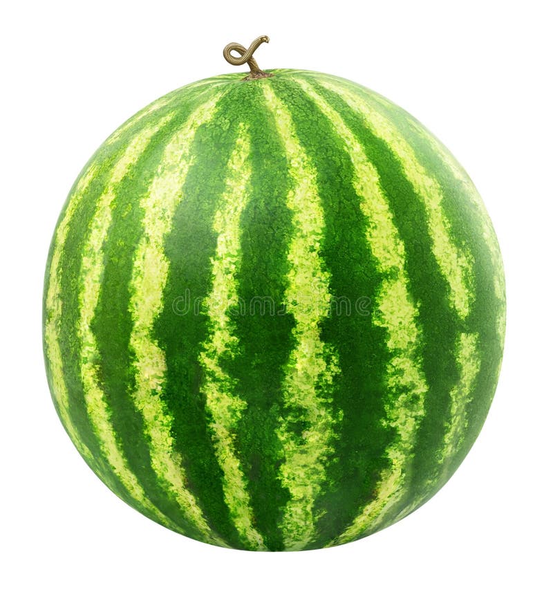 Wassermelone stockfoto