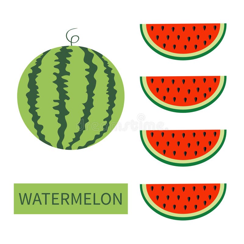 Wassermelonenfrucht-Ikonensatz Runde Wassermelone Rote Scheibe mit Samen in Folge Schneiden Sie Hälfte Gesunde Nahrung Flaches La stock abbildung Wassermelonenfrucht-Ikonensatz Runde Wassermelone Rote Scheibe mit Samen in Folge Schneiden Sie Hälfte Gesunde Nahrung Flaches La stock abbildung