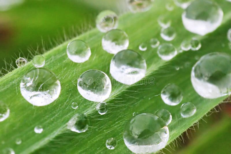 Wassertropfen stockbild