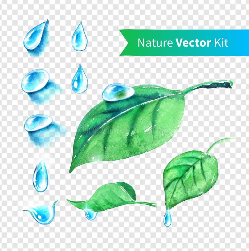 Wassertropfen und -blätter eingestellt vektor abbildung Wassertropfen und -blätter eingestellt vektor abbildung