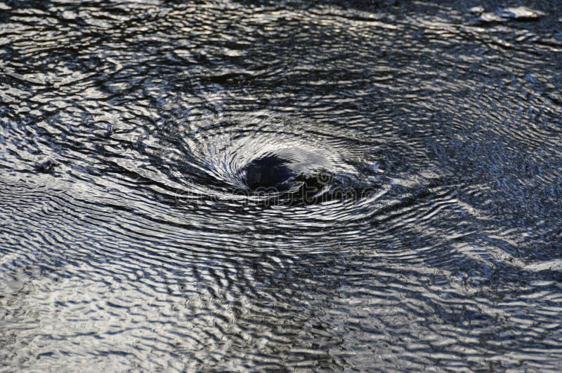 Wasserturbulenz lizenzfreies stockbild Wasserturbulenz lizenzfreies stockbild