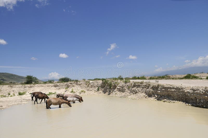 Wasservertiefung stockbild Wasservertiefung stockbild