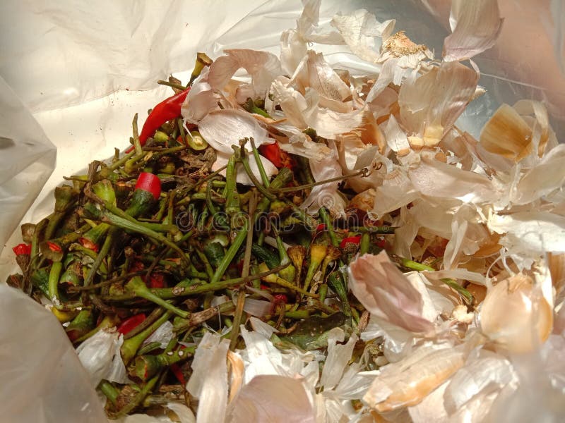 Waste Chili Stalks and Onion Skins Stock Image Image of waste, chili 269806329