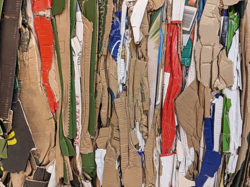 Waste Paper from Pressed Cardboard Boxes is Sorted and Packed for
