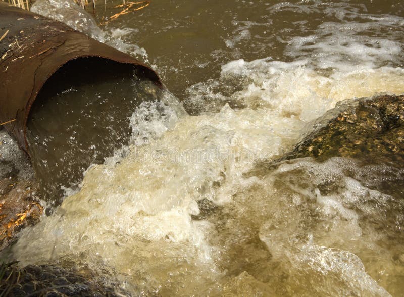 Waste water running slow from a concrete pipeline direct onto a natural pond with green grass on the bank and light green small mo