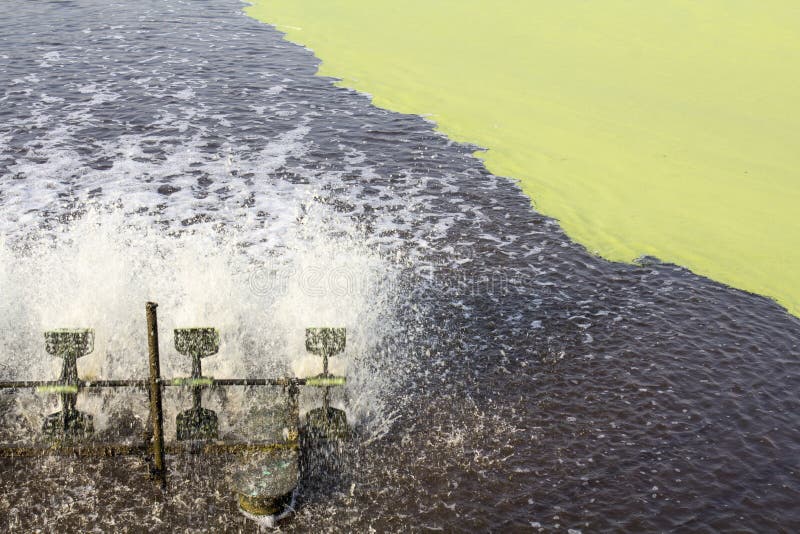Wastewater Treatment Using Duckweed. Stock Photo Image of technology