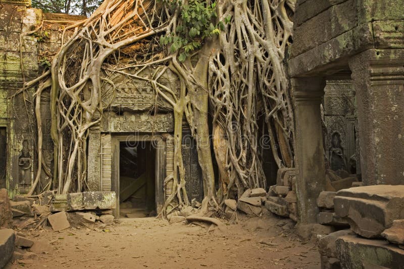 wat d'angkor wat d'angkor