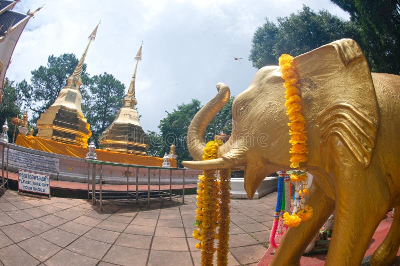 Wat Phra that Doi Tung,Chiang Rai,Thailand. Stock Photo - Image of ...